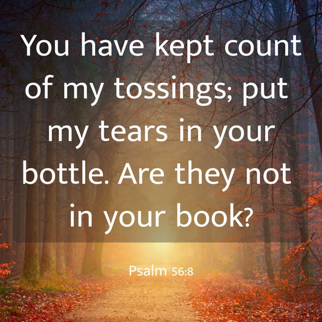 You have kept count of my tossings; put my tears in your bottle. Are they not in your book? - Psalm 56:8