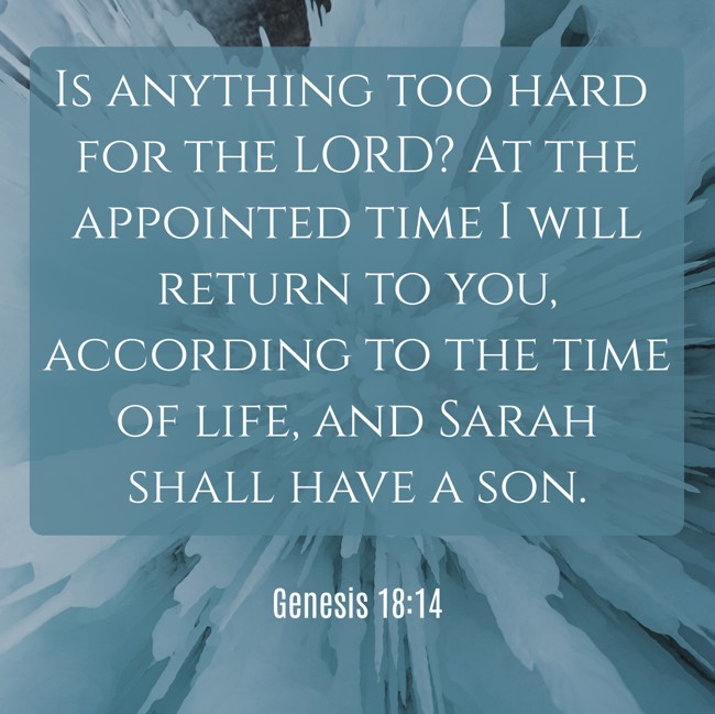 Is anything too hard for the LORD? At the appointed time I will return to you, according to the time of life, and Sarah shall have a son. - Genesis 18:14