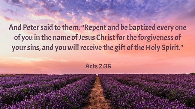 And Peter said to them, “Repent and be baptized every one of you in the name of Jesus Christ for the forgiveness of your sins, and you will receive the gift of the Holy Spirit.” - Acts 2:38