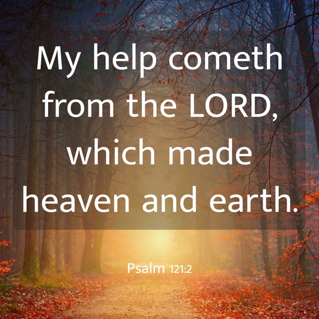 My help cometh from the LORD, which made heaven and earth. - Psalm 121:2