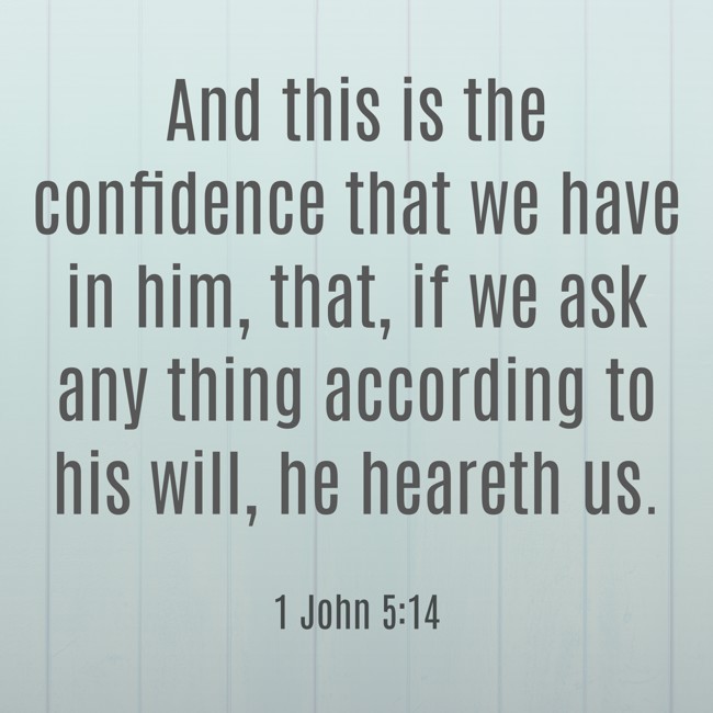 And this is the confidence that we have in him, that, if we ask any thing according to his will, he heareth us. - 1 John 5:14