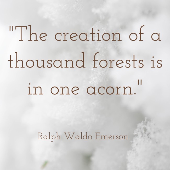 The creation of a thousand forests is in one acorn. - Ralph Waldo Emerson