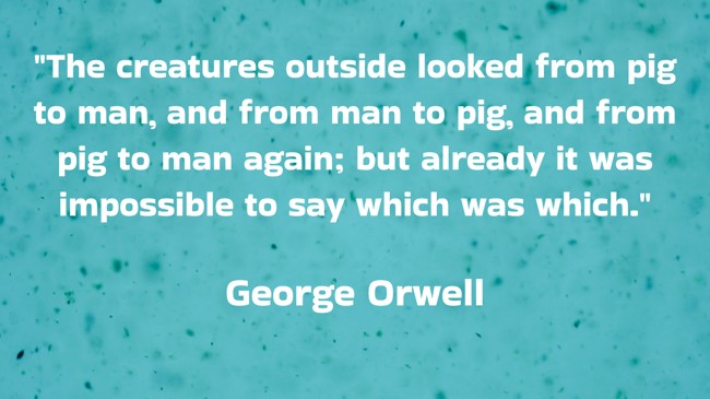 The creatures outside looked from pig to man, and from man to pig, and from pig to man again; but already it was impossible to say which was which. - George Orwell