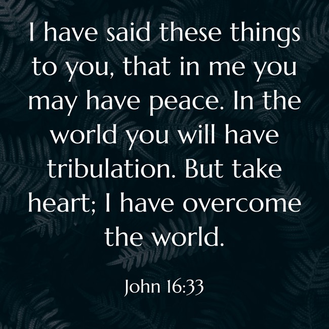 I have said these things to you, that in me you may have peace. In the world you will have tribulation. But take heart; I have overcome the world. - John 16:33