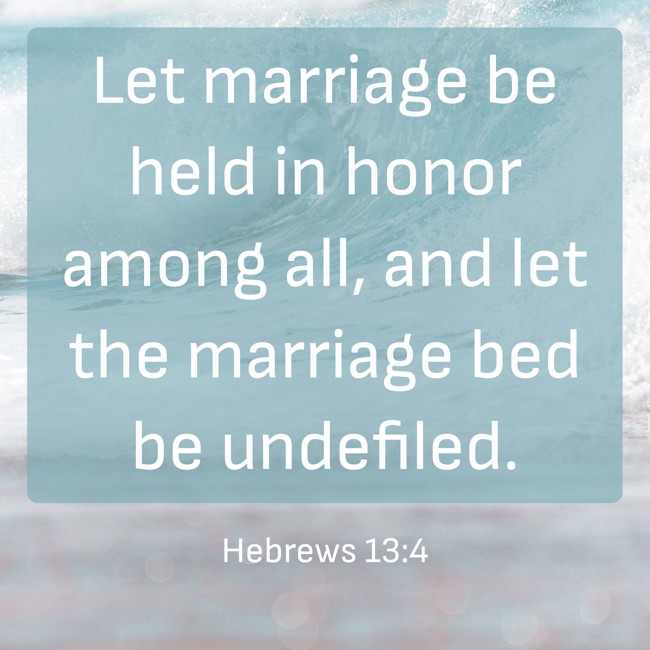 Let marriage be held in honor among all, and let the marriage bed be undefiled. - Hebrews 13:4