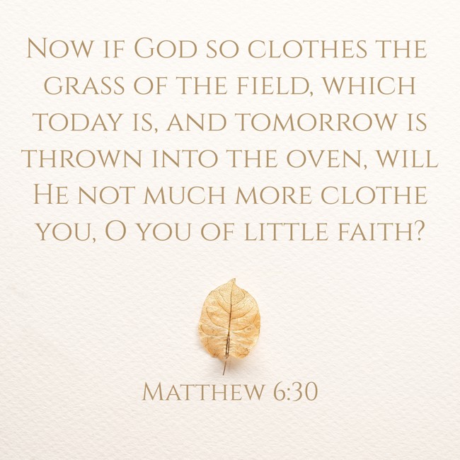 Now if God so clothes the grass of the field, which today is, and tomorrow is thrown into the oven, will He not much more clothe you, O you of little faith? - Matthew 6:30