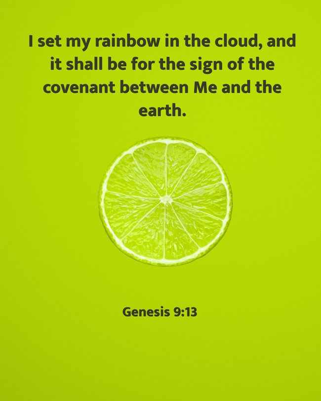 I set my rainbow in the cloud, and it shall be for the sign of the covenant between Me and the earth. - Genesis 9:13