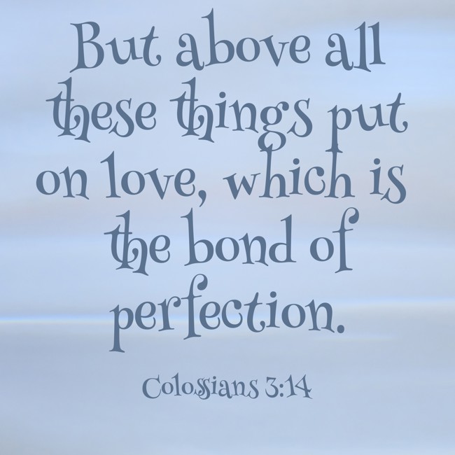But above all these things put on love, which is the bond of perfection. - Colossians 3:14