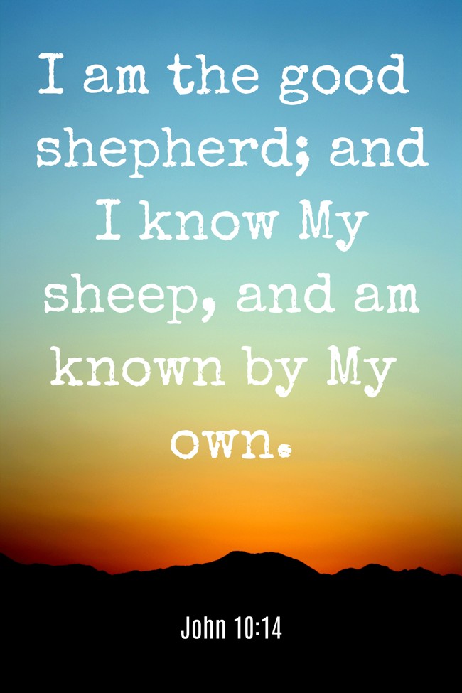 I am the good shepherd; and I know My sheep, and am known by My own. - John 10:14