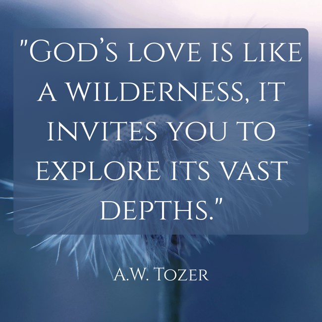 God’s love is like a wilderness, it invites you to explore its vast depths. - A.W. Tozer