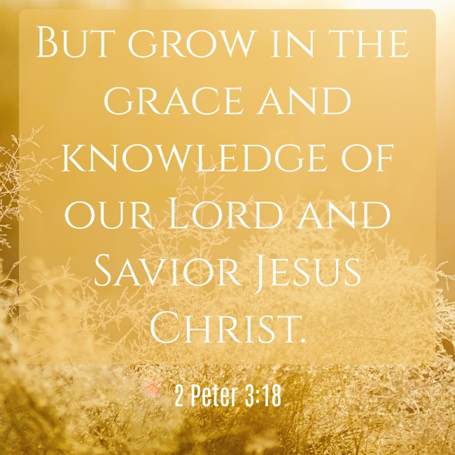 But grow in the grace and knowledge of our Lord and Savior Jesus Christ. - 2 Peter 3:18