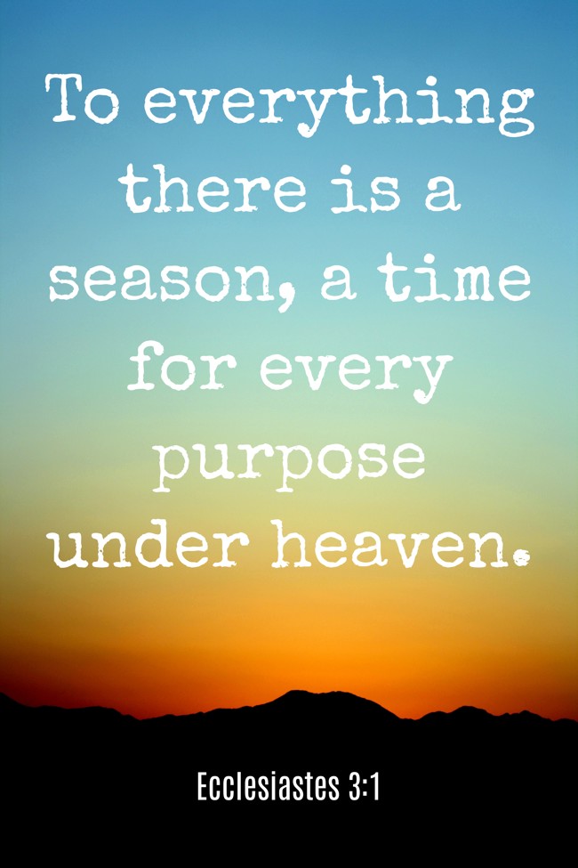 To everything there is a season, a time for every purpose under heaven. - Ecclesiastes 3:1