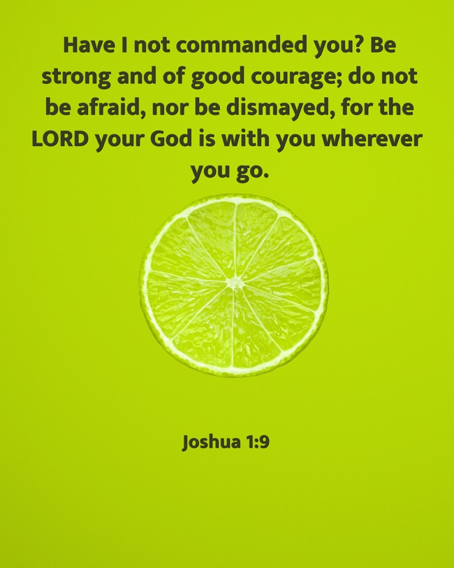 Have I not commanded you? Be strong and of good courage; do not be afraid, nor be dismayed, for the LORD your God is with you wherever you go. - Joshua 1:9
