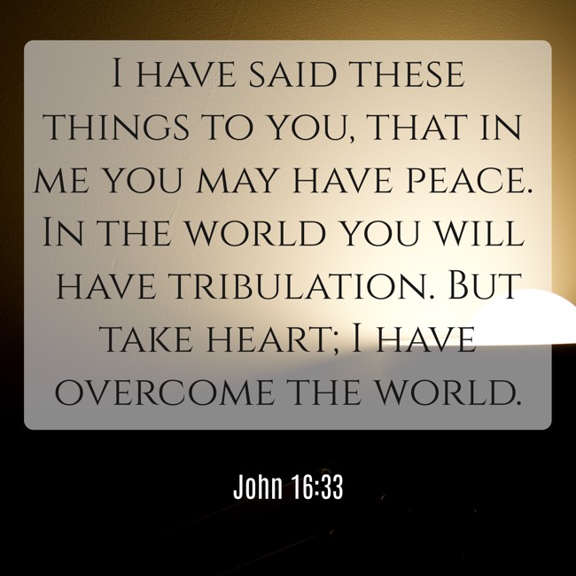 I have said these things to you, that in me you may have peace. In the world you will have tribulation. But take heart; I have overcome the world. - John 16:33