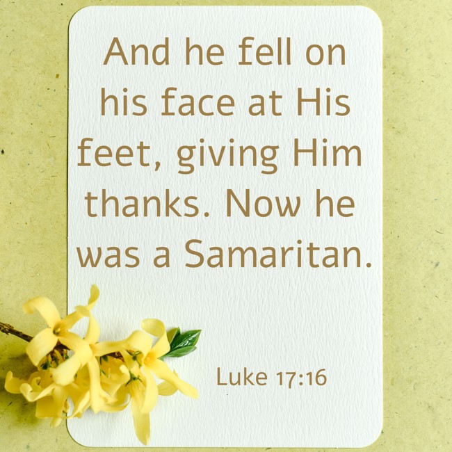 And he fell on his face at His feet, giving Him thanks. Now he was a Samaritan. - Luke 17:16