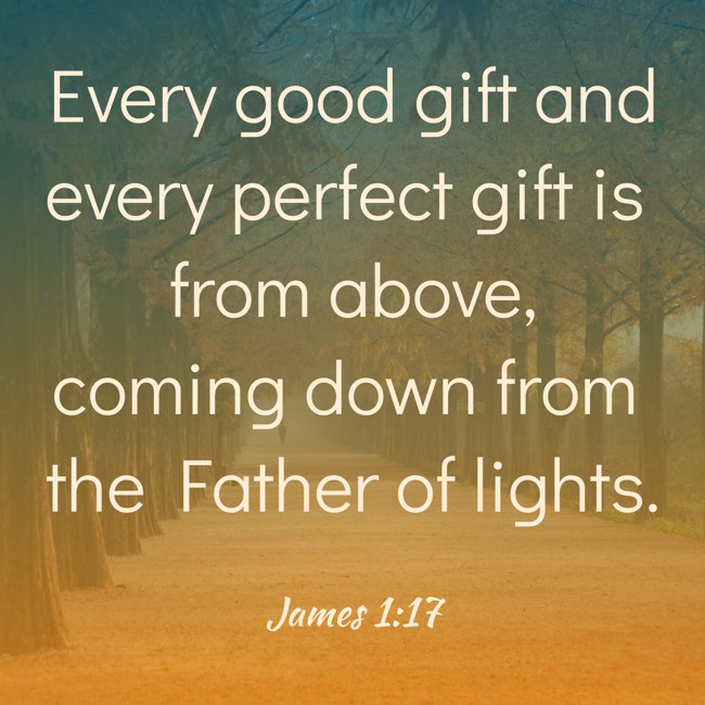 Every good gift and every perfect gift is from above, coming down from the Father of lights. - James 1:17
