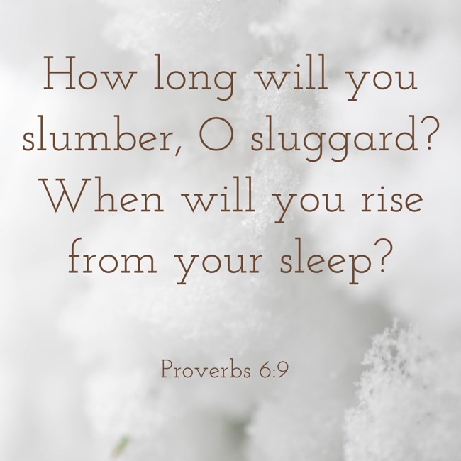 How long will you slumber, O sluggard? When will you rise from your sleep? - Proverbs 6:9