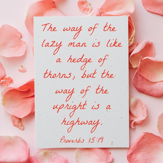 The way of the lazy man is like a hedge of thorns, but the way of the upright is a highway. - Proverbs 15:19