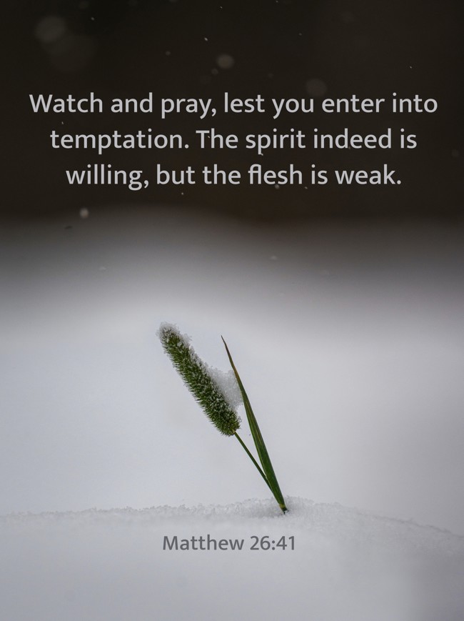Watch and pray, lest you enter into temptation. The spirit indeed is willing, but the flesh is weak. - Matthew 26:41