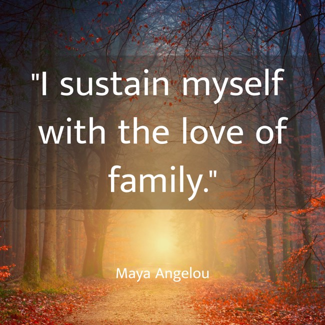 I sustain myself with the love of family. - Maya Angelou