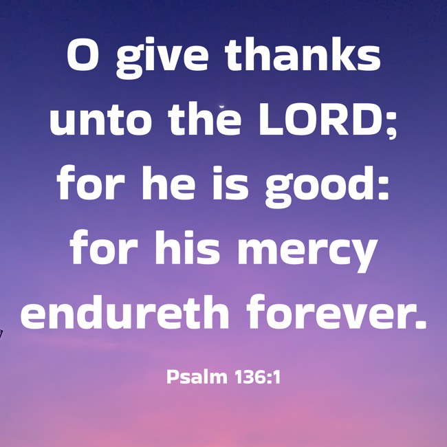 O give thanks unto the LORD; for he is good: for his mercy endureth forever. - Psalm 136:1