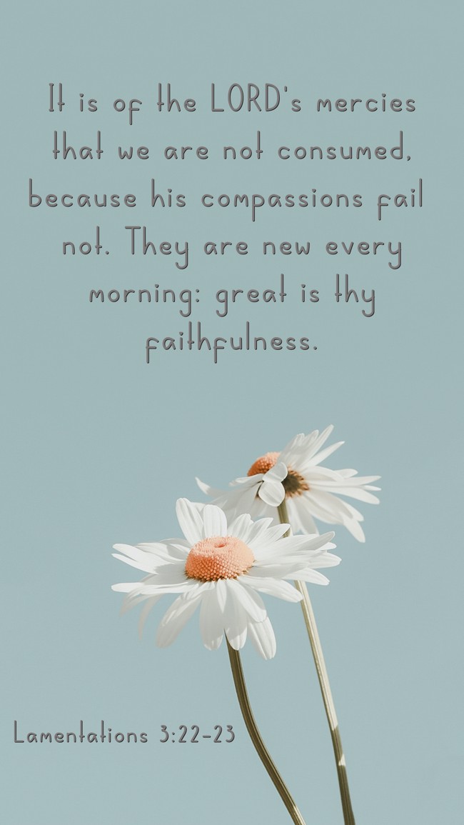 It is of the LORD's mercies that we are not consumed, because his compassions fail not. They are new every morning: great is thy faithfulness. - Lamentations 3:22-23