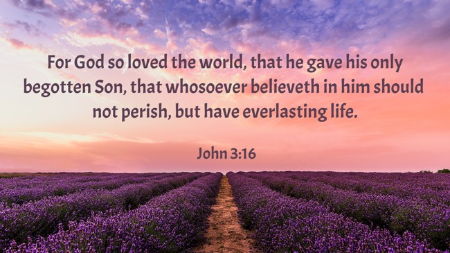 For God so loved the world, that he gave his only begotten Son, that whosoever believeth in him should not perish, but have everlasting life. - John 3:16