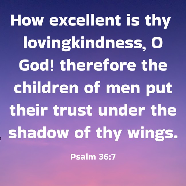 How excellent is thy lovingkindness, O God! therefore the children of men put their trust under the shadow of thy wings. - Psalm 36:7