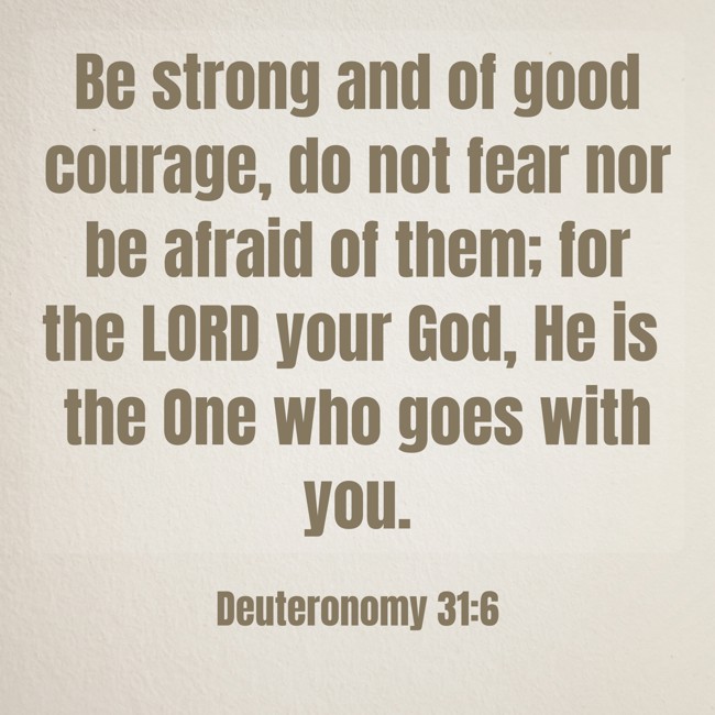 Be strong and of good courage, do not fear nor be afraid of them; for the LORD your God, He is the One who goes with you. - Deuteronomy 31:6