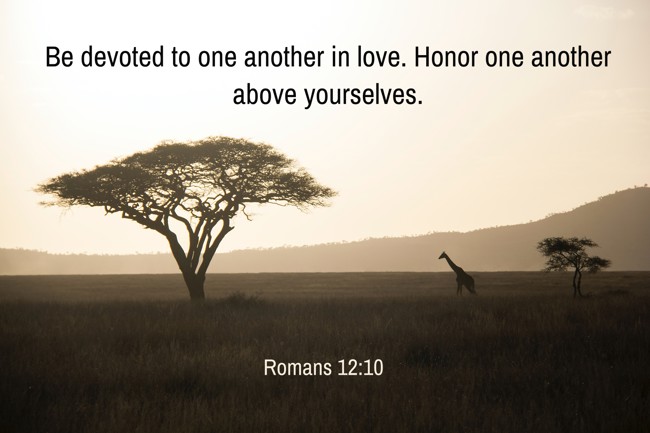 Be devoted to one another in love. Honor one another above yourselves. - Romans 12:10