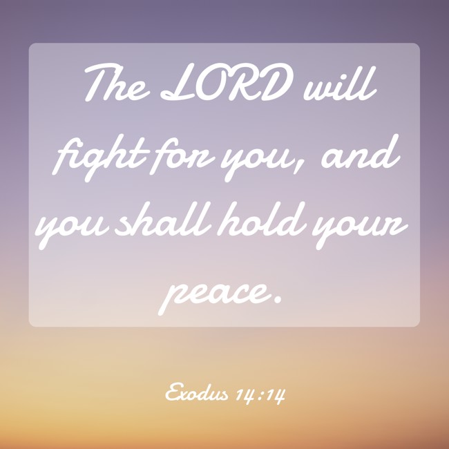 The LORD will fight for you, and you shall hold your peace. - Exodus 14:14