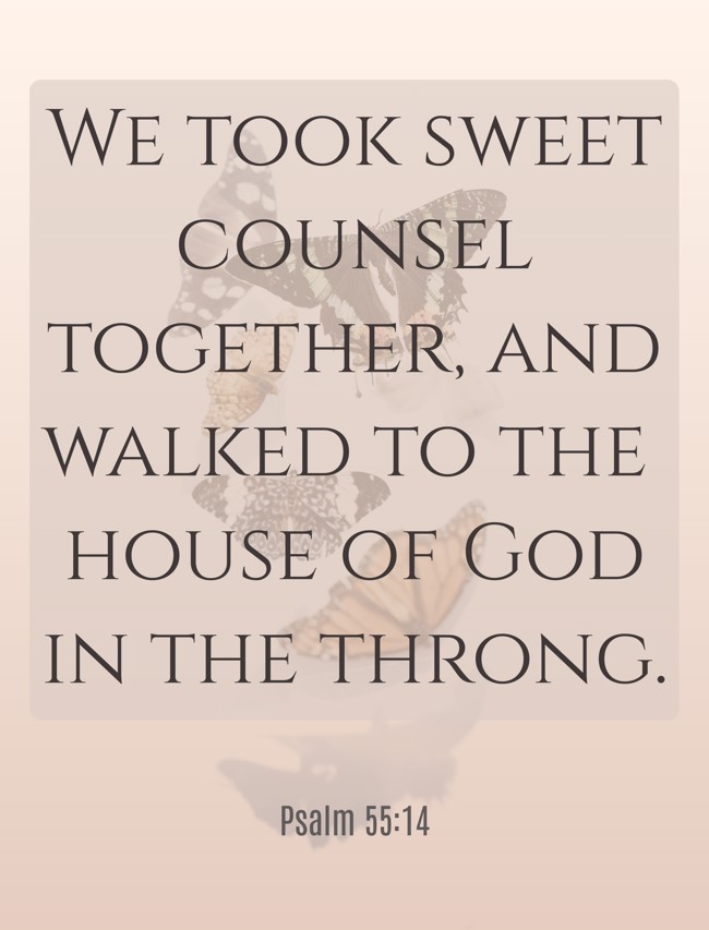 We took sweet counsel together, and walked to the house of God in the throng. - Psalm 55:14