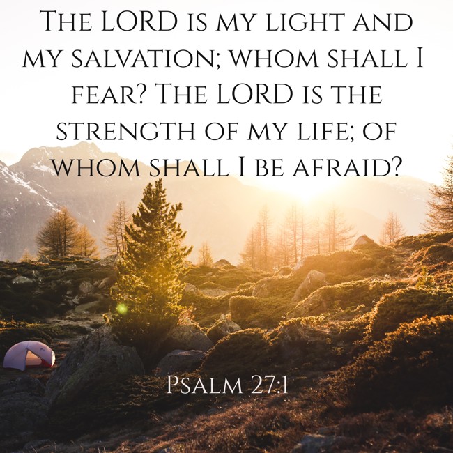 The LORD is my light and my salvation; whom shall I fear? The LORD is the strength of my life; of whom shall I be afraid? - Psalm 27:1