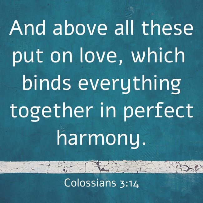 And above all these put on love, which binds everything together in perfect harmony. - Colossians 3:14