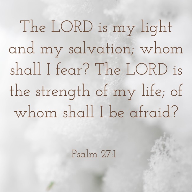 The LORD is my light and my salvation; whom shall I fear? The LORD is the strength of my life; of whom shall I be afraid? - Psalm 27:1