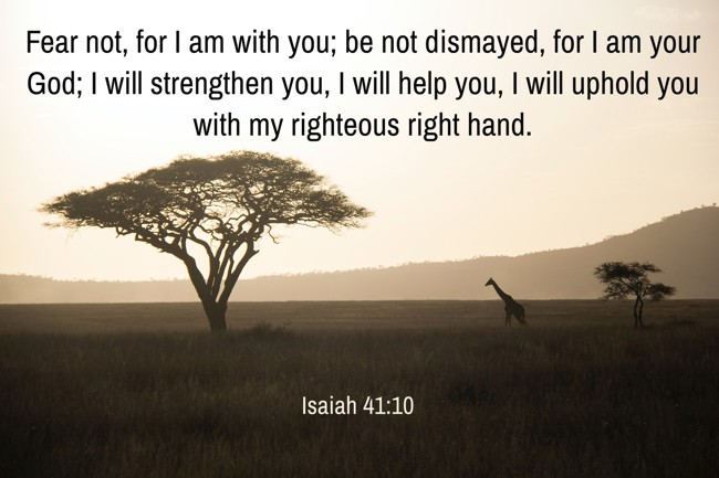  Fear not, for I am with you; be not dismayed, for I am your God; I will strengthen you, I will help you, I will uphold you with my righteous right hand.   - Isaiah 41:10 