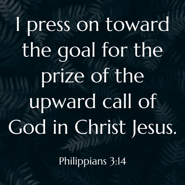 I press on toward the goal for the prize of the upward call of God in Christ Jesus. - Philippians 3:14