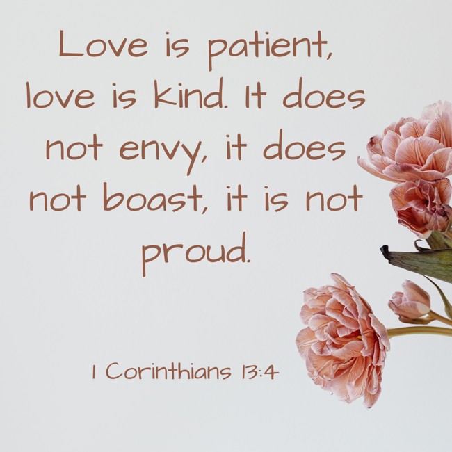 Love is patient, love is kind. It does not envy, it does not boast, it is not proud. - 1 Corinthians 13:4