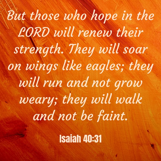 But those who hope in the LORD will renew their strength. They will soar on wings like eagles; they will run and not grow weary; they will walk and not be faint. - Isaiah 40:31