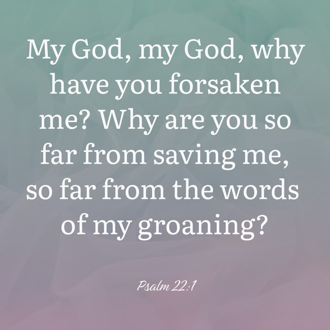 My God, my God, why have you forsaken me? Why are you so far from saving me, so far from the words of my groaning? - Psalm 22:1