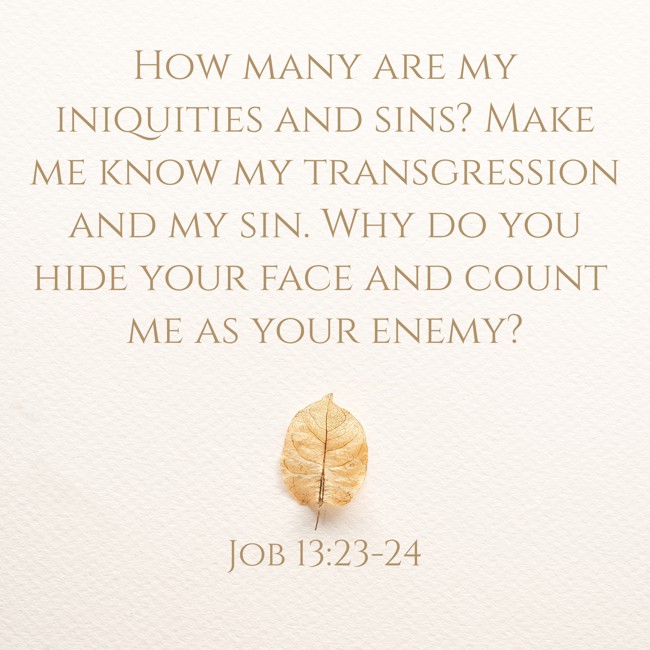 How many are my iniquities and sins? Make me know my transgression and my sin. Why do you hide your face and count me as your enemy? - Job 13:23-24