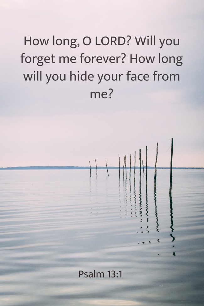 How long, O LORD? Will you forget me forever? How long will you hide your face from me? - Psalm 13:1
