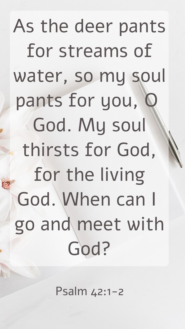 As the deer pants for streams of water, so my soul pants for you, O God. My soul thirsts for God, for the living God. When can I go and meet with God? - Psalm 42:1-2