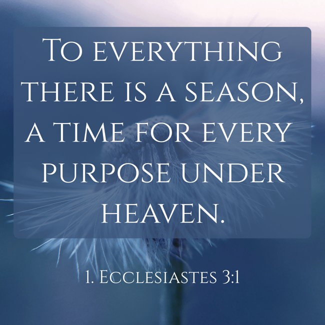 To everything there is a season, a time for every purpose under heaven. - 1. Ecclesiastes 3:1