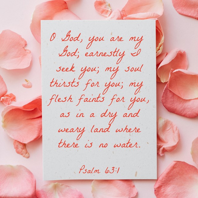 O God, you are my God; earnestly I seek you; my soul thirsts for you; my flesh faints for you, as in a dry and weary land where there is no water. - Psalm 63:1