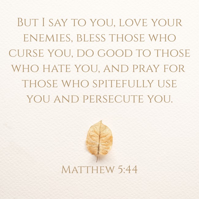  But I say to you, love your enemies, bless those who curse you, do good to those who hate you, and pray for those who spitefully use you and persecute you.   - Matthew 5:44 