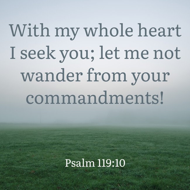 With my whole heart I seek you; let me not wander from your commandments! - Psalm 119:10