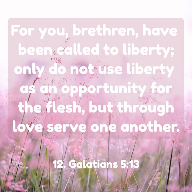 For you, brethren, have been called to liberty; only do not use liberty as an opportunity for the flesh, but through love serve one another. - 12. Galatians 5:13