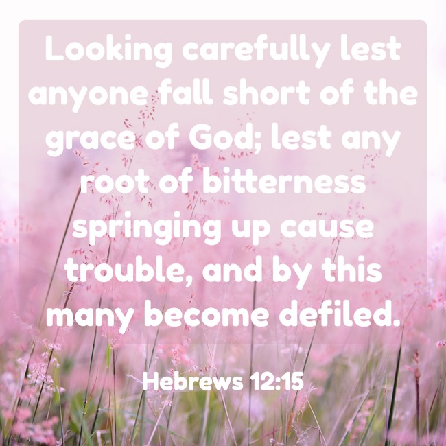  Looking carefully lest anyone fall short of the grace of God; lest any root of bitterness springing up cause trouble, and by this many become defiled.   - Hebrews 12:15 