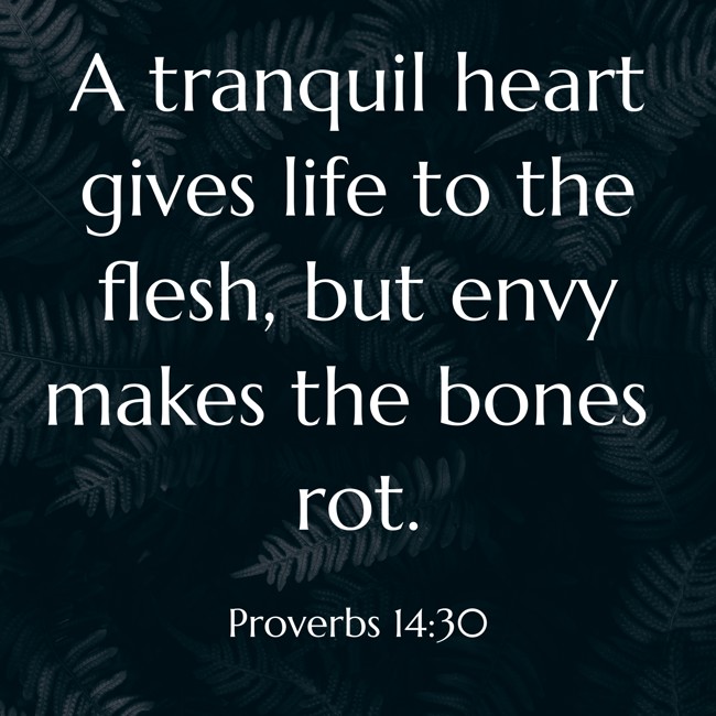  A tranquil heart gives life to the flesh, but envy makes the bones rot.   - Proverbs 14:30 